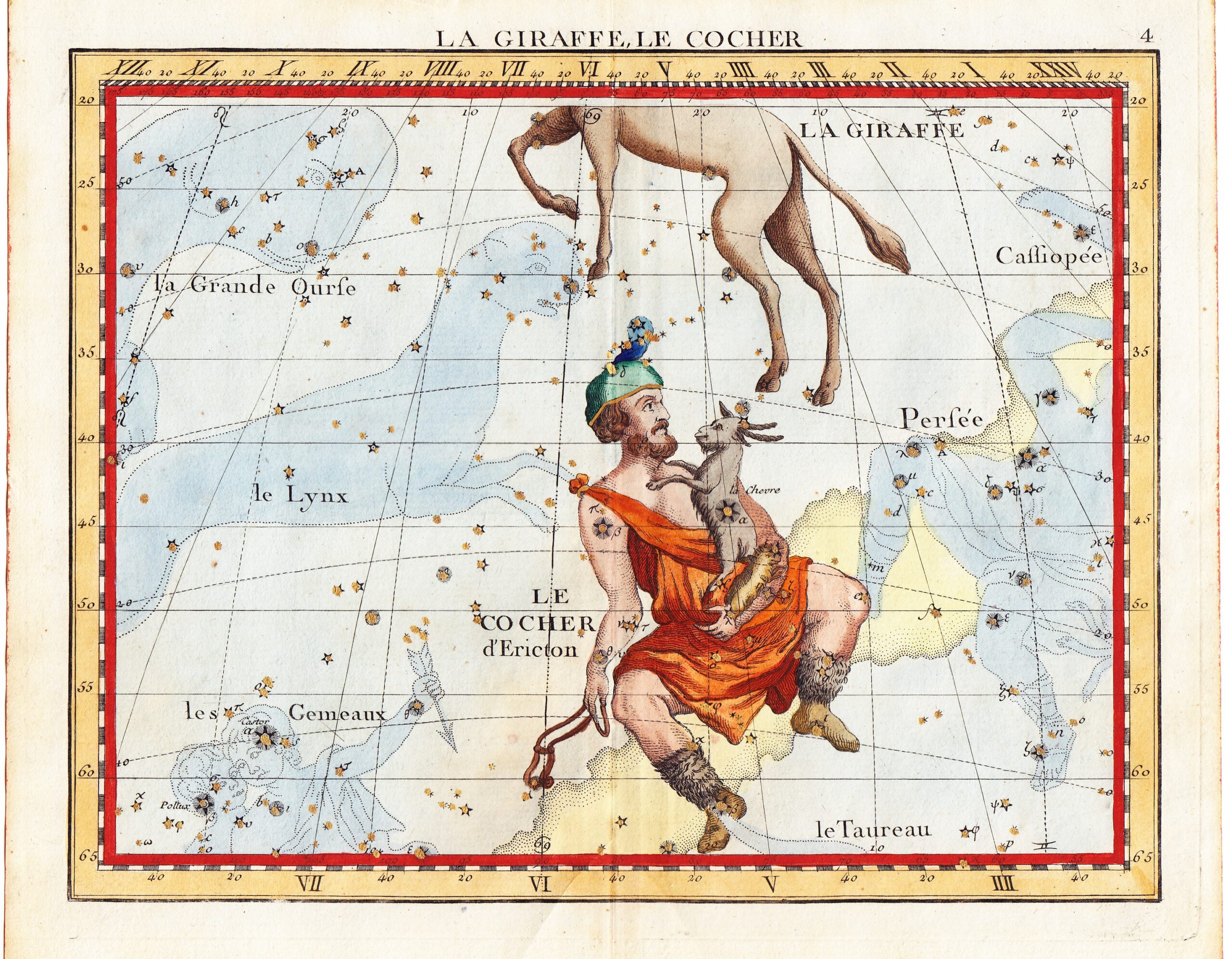 A133 Segni zodiacali La giraffa