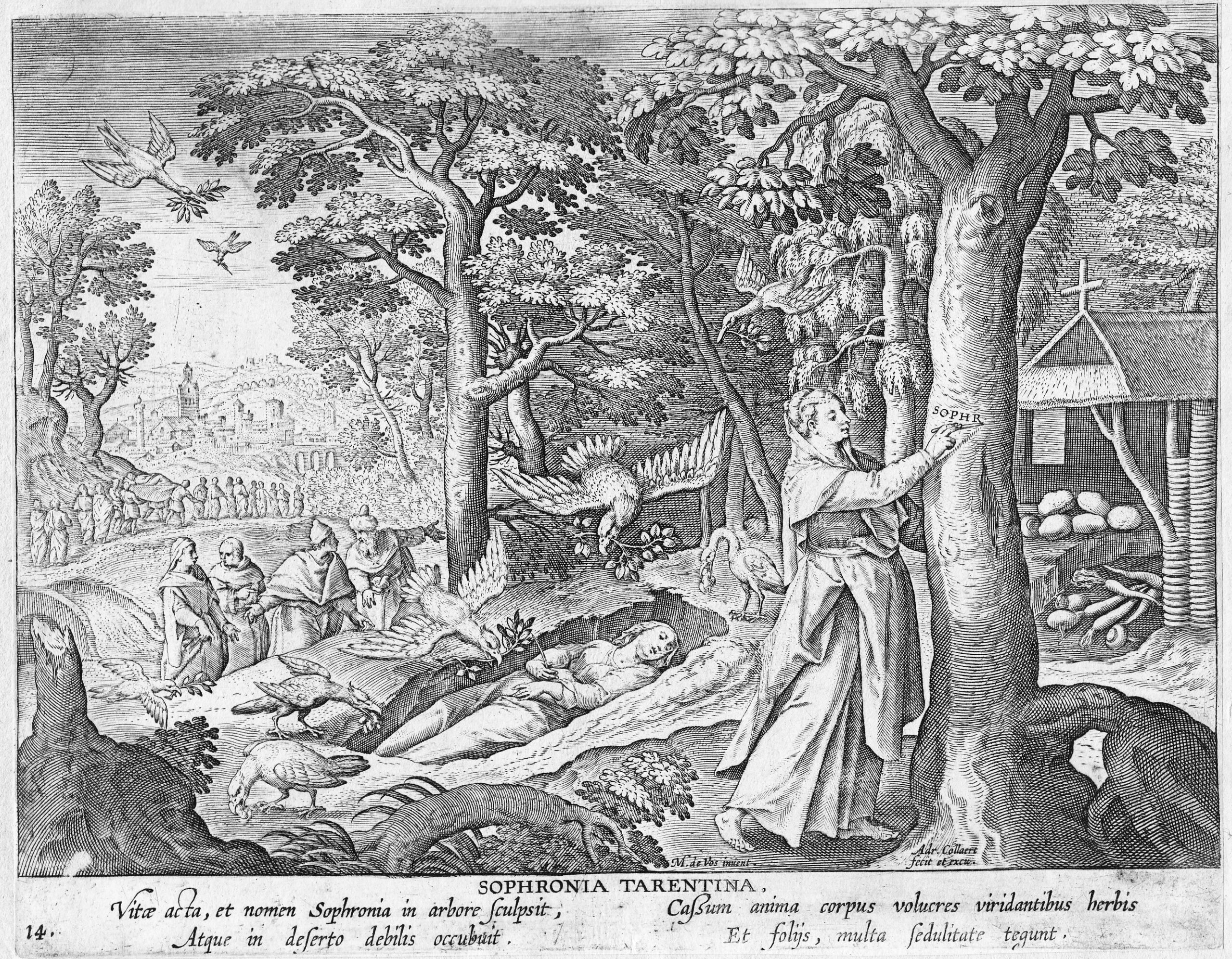 A183 Eremiti Sophronia Terentina