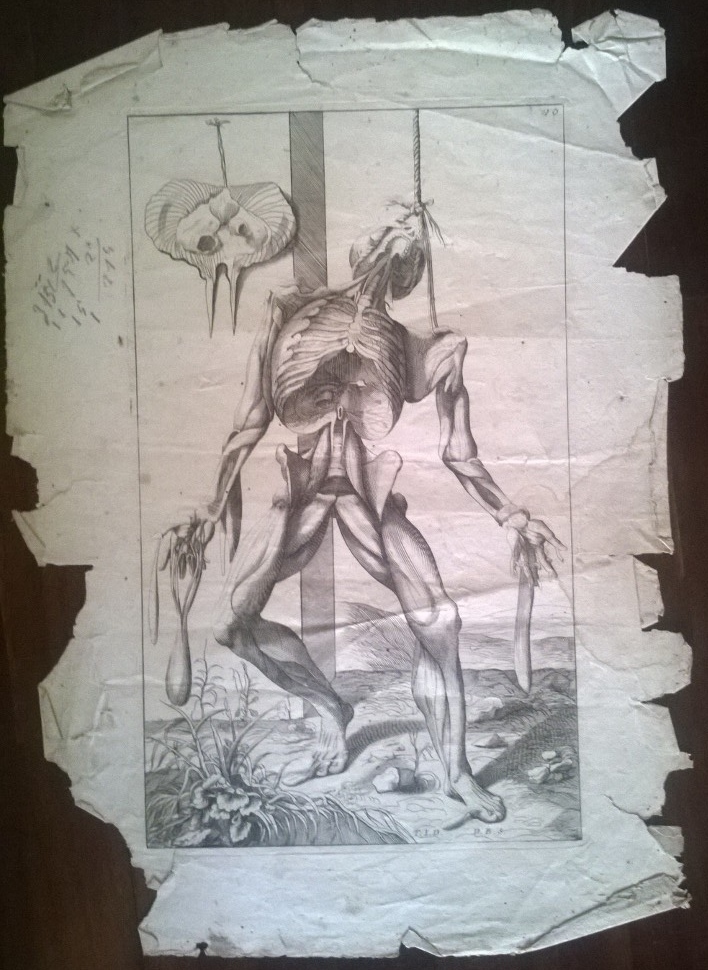 A612 Boniveri Studio di anatomia (FILEminimizer)
