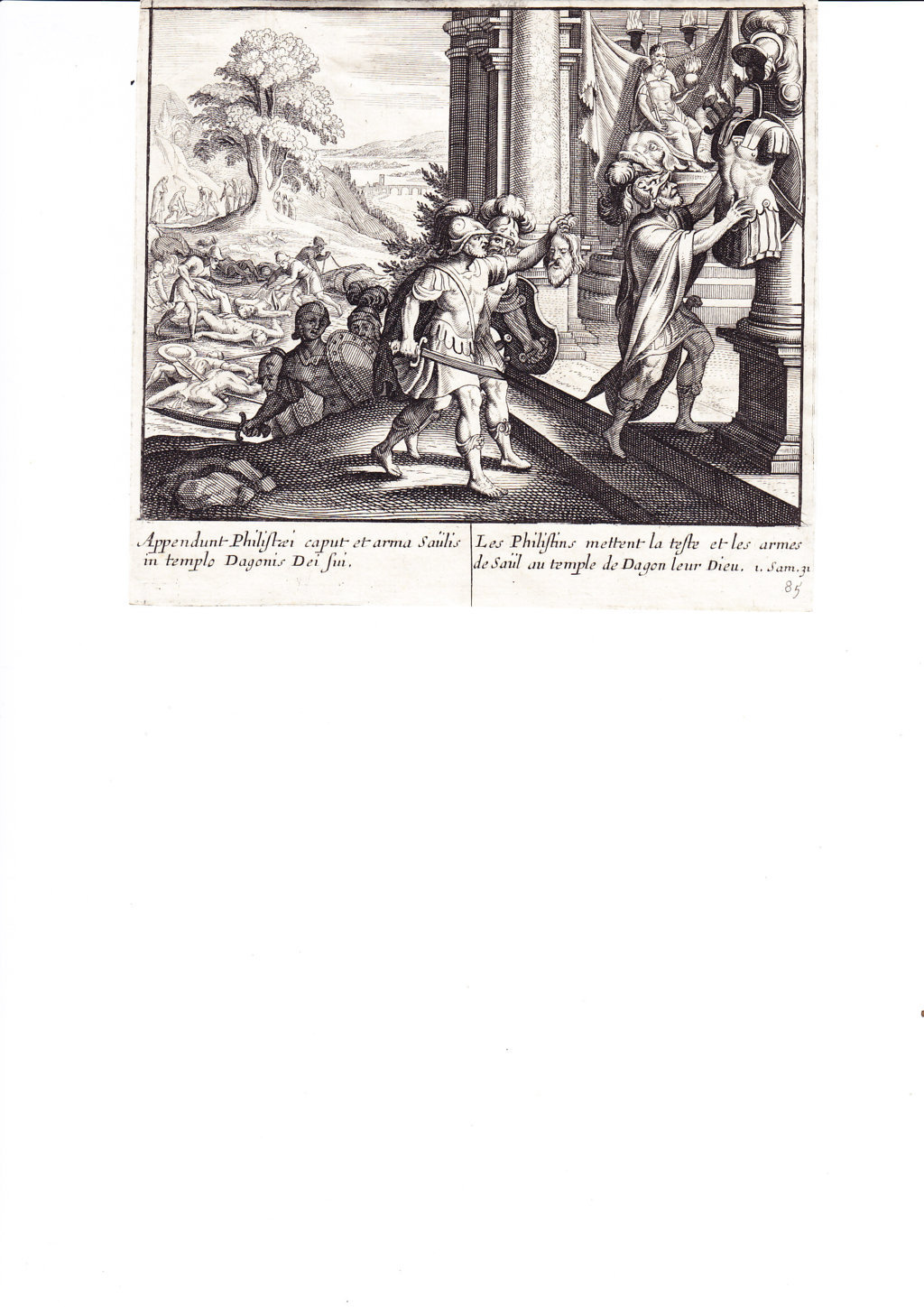 A750 Mariette Merian Scena bib (FILEminimizer)