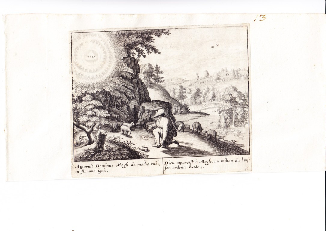 A778 Mariette Merian_0003 (FILEminimizer)