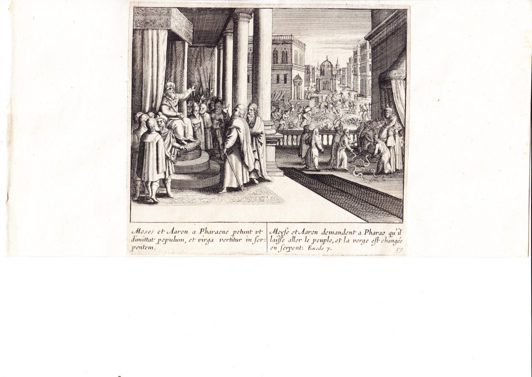 A778 Mariette Merian_0004 (FILEminimizer)
