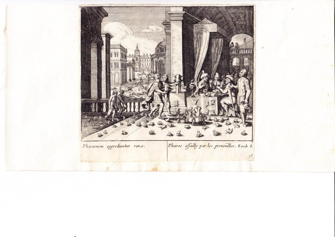 A778 Mariette Merian_0005 (FILEminimizer)