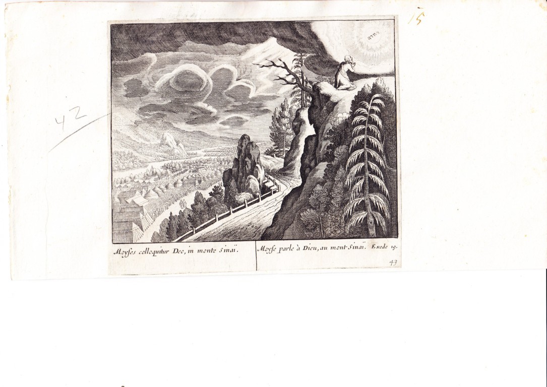 A778 Mariette Merian_0009 (FILEminimizer)