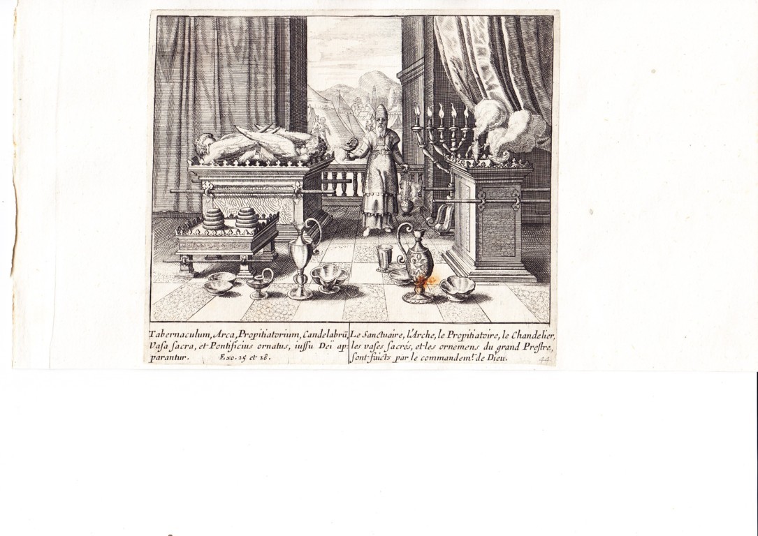 A778 Mariette Merian_0010 (FILEminimizer)