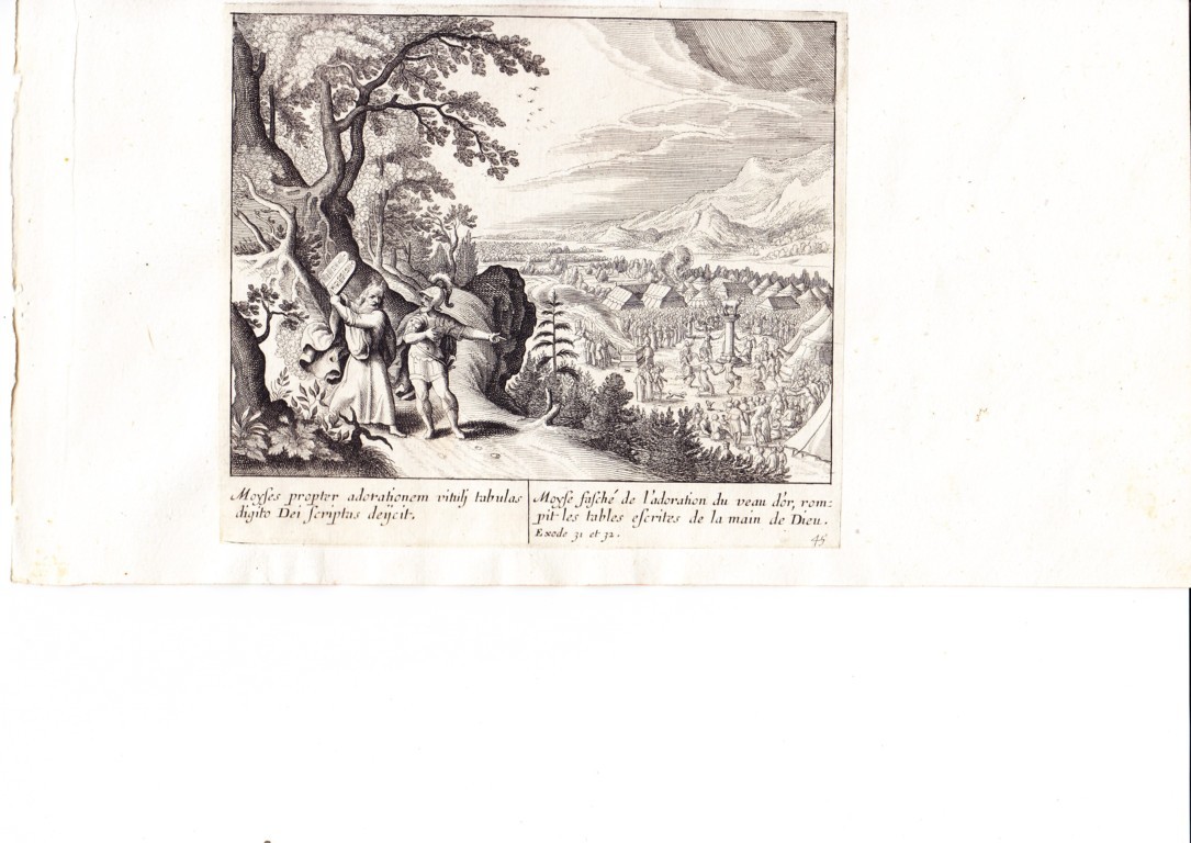 A778 Mariette Merian_0011 (FILEminimizer)