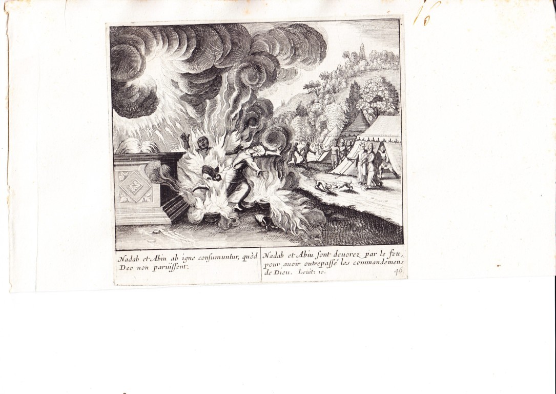 A778 Mariette Merian_0012 (FILEminimizer)
