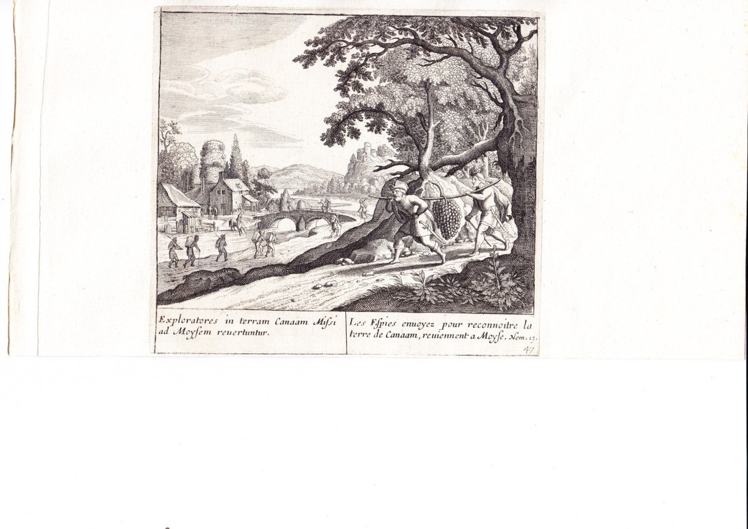 A778 Mariette Merian_0013 (FILEminimizer)