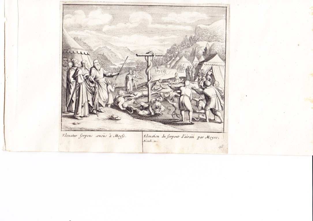 A778 Mariette Merian_0014 (FILEminimizer)