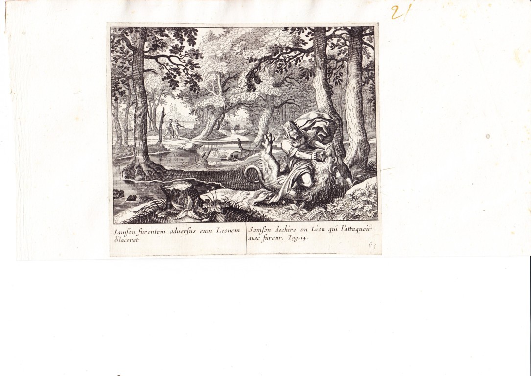 A778 Mariette Merian_0018 (FILEminimizer)