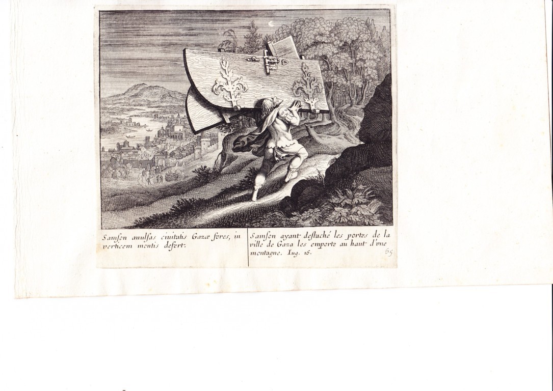 A778 Mariette Merian_0020 (FILEminimizer)