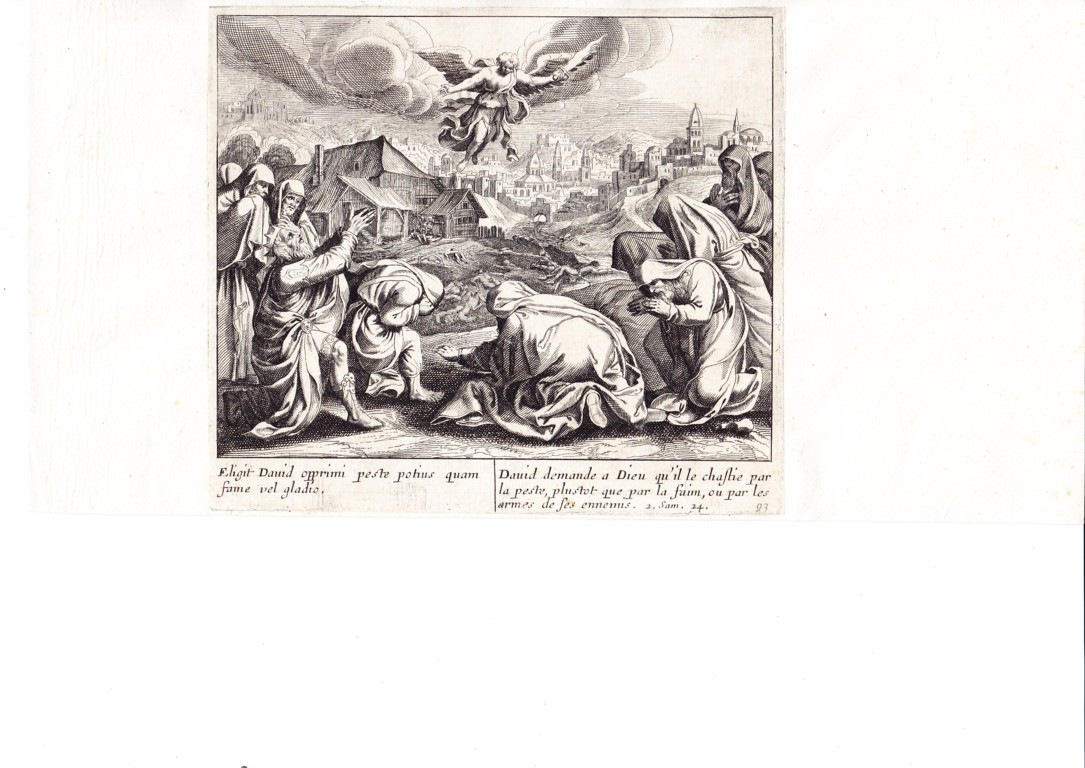 A778 Mariette Merian_0022 (FILEminimizer)