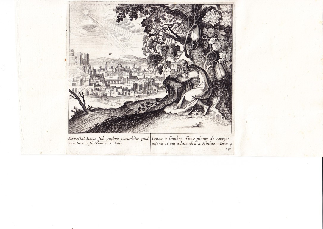 A778 Mariette Merian_0025 (FILEminimizer)