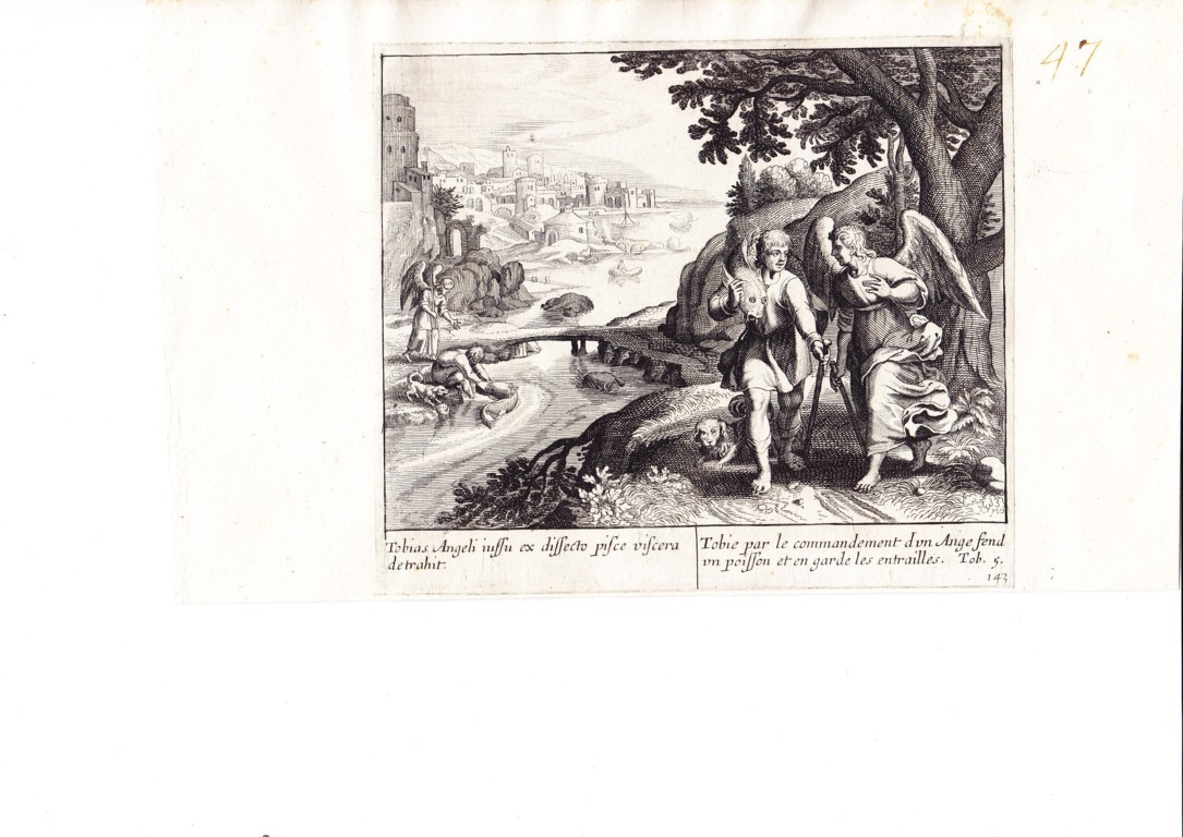 A778 Mariette Merian_0027 (FILEminimizer)