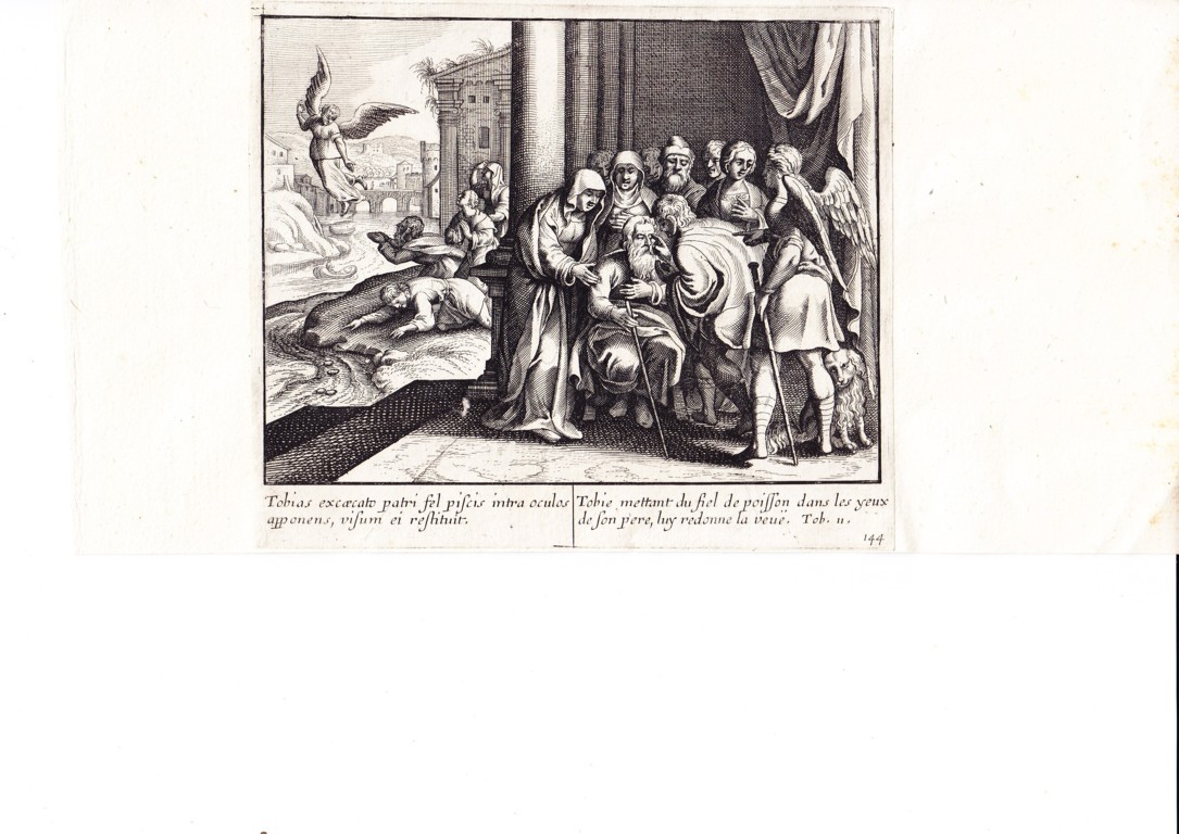 A778 Mariette Merian_0028 (FILEminimizer)