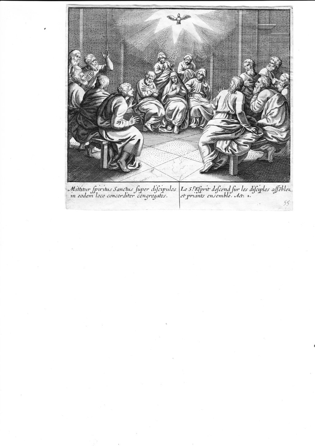 A779 Mariette Merian_0012 (FILEminimizer)